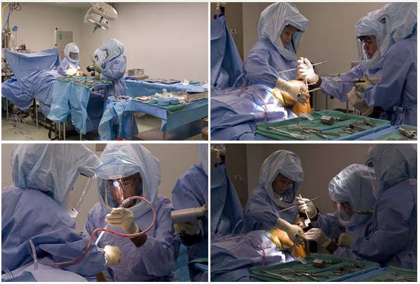 Dr. Likover performing knee surgery